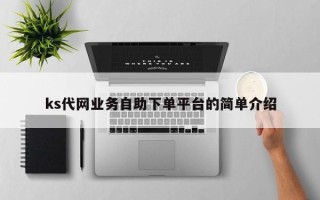 ks代网业务自助下单平台的简单介绍