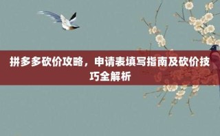 拼多多砍价攻略，申请表填写指南及砍价技巧全解析