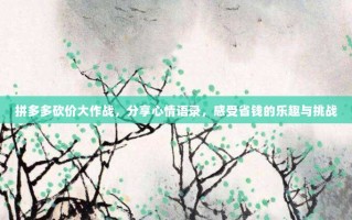 拼多多砍价大作战，分享心情语录，感受省钱的乐趣与挑战