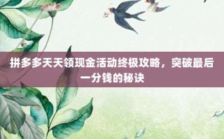 拼多多天天领现金活动终极攻略，突破最后一分钱的秘诀