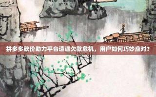拼多多砍价助力平台遭遇欠款危机，用户如何巧妙应对？