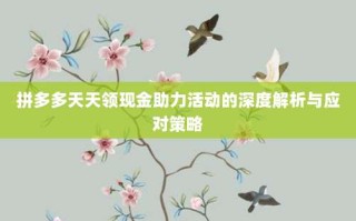 拼多多天天领现金助力活动的深度解析与应对策略