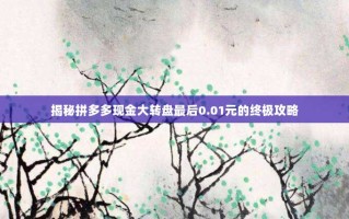 揭秘拼多多现金大转盘最后0.01元的终极攻略
