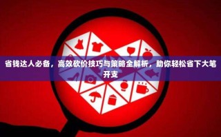 省钱达人必备，高效砍价技巧与策略全解析，助你轻松省下大笔开支