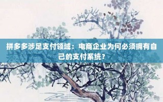 拼多多涉足支付领域：电商企业为何必须拥有自己的支付系统？