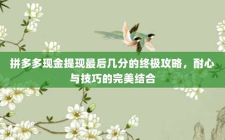 拼多多现金提现最后几分的终极攻略，耐心与技巧的完美结合