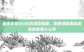 拼多多砍价0元购活动揭秘，免费领取商品背后的真相大公开
