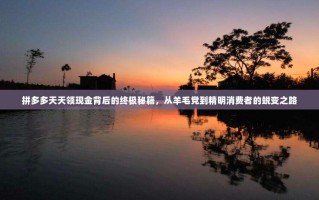 拼多多天天领现金背后的终极秘籍，从羊毛党到精明消费者的蜕变之路