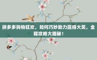 拼多多购物狂欢，如何巧妙助力赢得大奖，全程攻略大揭秘！