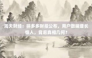 周天财经：拼多多财报公布，用户数据增长惊人，背后真相几何？