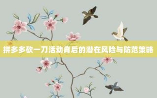 拼多多砍一刀活动背后的潜在风险与防范策略