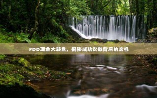 PDD现金大转盘，揭秘成功次数背后的玄机