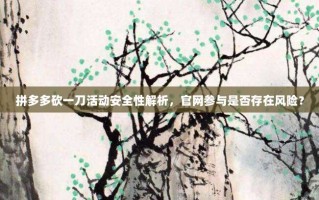 拼多多砍一刀活动安全性解析，官网参与是否存在风险？