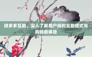 拼多多互助，深入了解用户间的互助模式与购物新体验