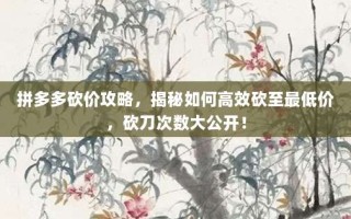 拼多多砍价攻略，揭秘如何高效砍至最低价，砍刀次数大公开！