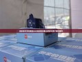 拼多多天天领现金500元背后的商业逻辑与用户体验解析