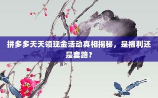拼多多天天领现金活动真相揭秘，是福利还是套路？