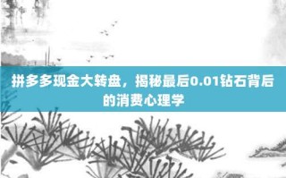 拼多多现金大转盘，揭秘最后0.01钻石背后的消费心理学