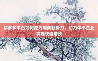 拼多多平台如何成为电商新势力，助力中小企业实现快速增长