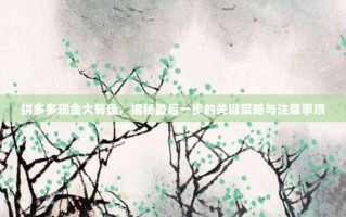 拼多多现金大转盘，揭秘最后一步的关键策略与注意事项