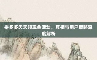 拼多多天天领现金活动，真相与用户策略深度解析
