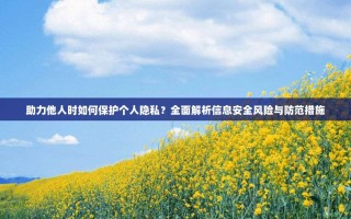 助力他人时如何保护个人隐私？全面解析信息安全风险与防范措施