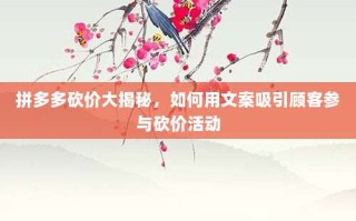 拼多多砍价大揭秘，如何用文案吸引顾客参与砍价活动