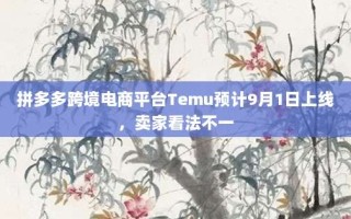 拼多多跨境电商平台Temu预计9月1日上线，卖家看法不一