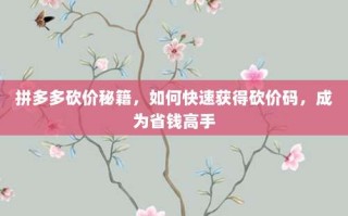 拼多多砍价秘籍，如何快速获得砍价码，成为省钱高手