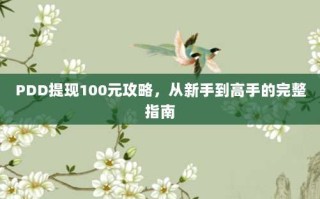PDD提现100元攻略，从新手到高手的完整指南