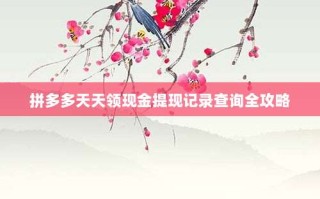 拼多多天天领现金提现记录查询全攻略