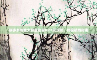 拼多多现金大转盘最后0.01元攻略，终极破局指南