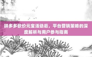 拼多多砍价元宝活动后，平台营销策略的深度解析与用户参与指南