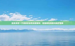 拼多多砍一刀活动安全性深度解析，警惕潜在风险与防护策略