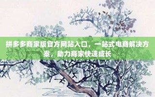 拼多多商家版官方网站入口，一站式电商解决方案，助力商家快速成长