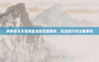 拼多多天天领现金活动深度解析，玩法技巧与注意事项