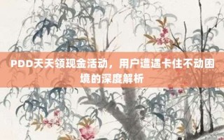 PDD天天领现金活动，用户遭遇卡住不动困境的深度解析