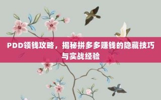 PDD领钱攻略，揭秘拼多多赚钱的隐藏技巧与实战经验