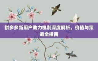 拼多多新用户助力机制深度解析，价值与策略全指南