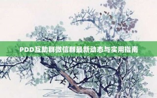 PDD互助群微信群最新动态与实用指南