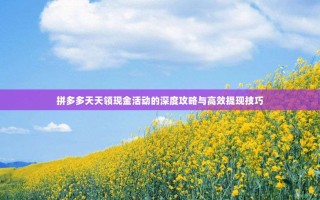 拼多多天天领现金活动的深度攻略与高效提现技巧