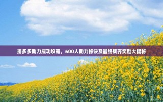 拼多多助力成功攻略，600人助力秘诀及最终集齐奖励大揭秘