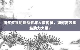拼多多互助活动参与人数揭秘，如何高效集结助力大军？