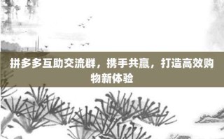 拼多多互助交流群，携手共赢，打造高效购物新体验