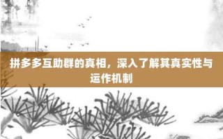 拼多多互助群的真相，深入了解其真实性与运作机制