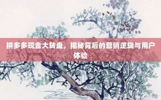 拼多多现金大转盘，揭秘背后的营销逻辑与用户体验