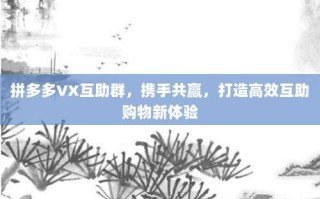 拼多多VX互助群，携手共赢，打造高效互助购物新体验