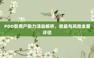 PDD新用户助力活动解析，收益与风险全面评估