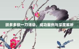 拼多多砍一刀活动，成功案例与深度解析
