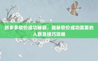拼多多砍价成功秘籍，揭秘砍价成功需要的人数及技巧攻略
